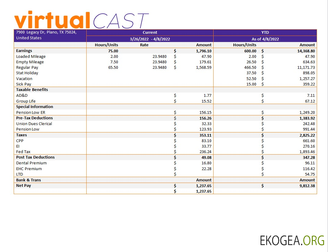 modèle de paie d'entreprise de visioconférence aux formats Word et PDF